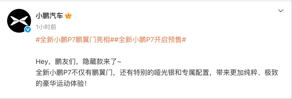 全新小鹏P7鹏翼门亮相：拥有哑光银配色和迎宾踏板等专属配置